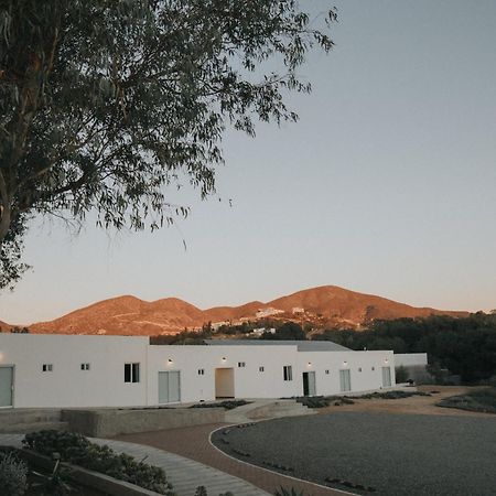 Villa de Juarez Casa Zamora מראה חיצוני תמונה